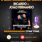 desapedagim é o lançamento de Ricardo e João Fernando nas rádios do Brasil